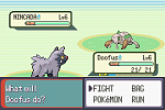 Pokemon Emerald 04