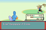 Pokemon Emerald 10
