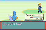Pokemon Emerald 17