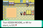 Pokemon Emerald 28