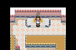 Pokemon Emerald 39