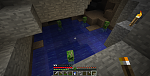 CREEPER POOL PARTY!!