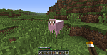 My first natural Pink sheep! Though, it wasn't the only one in the region..