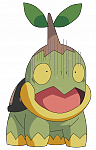 Turtwig