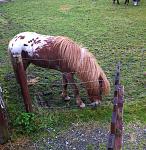 Did I mention I was able to see a ton of animals while I was here? :P