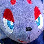 Zorua is sticking it too close.