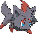 Zorua