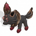 Zorua