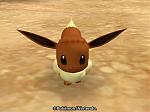 iBui (Eevee) appears