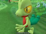 Treecko, lend a hand?